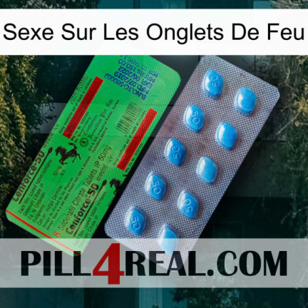 Sex On Fire Tabs new03